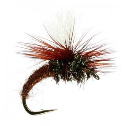 Klinhammer Brown - 1