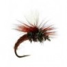 Klinhammer Brown