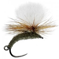 Klink and Dink Adams - 1