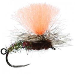 Klink and Dink Indi - 1