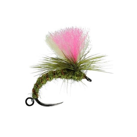 Klink and Dink Olive - 1