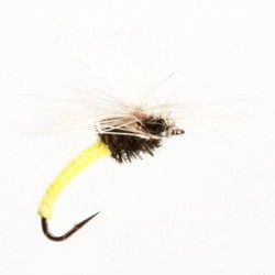 Klinkhammer Pale Evening - 1