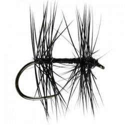 Knotted Midge - 1