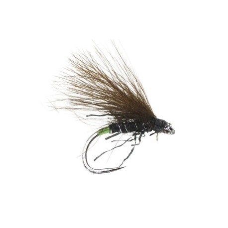 Little Leggy F Fly Black - 1