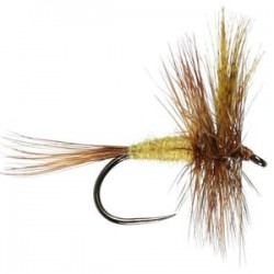 March Brown