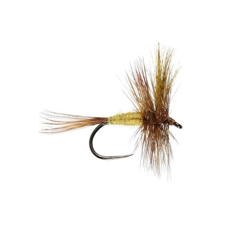 March Brown - 1