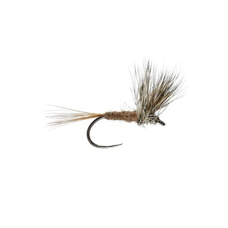 March Brown Stacked Hackle - 1