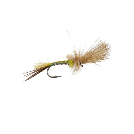 Mayfly Yellow Drake Cripple - 1