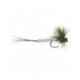 Mohican Mayfly - 1