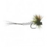 Mohican Mayfly
