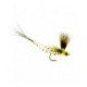 Mohican Mayfly