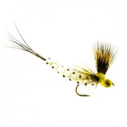 Mohican Mayfly - 1