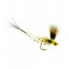 Mohican Mayfly