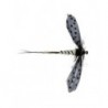 Moose Main Spent Mayfly